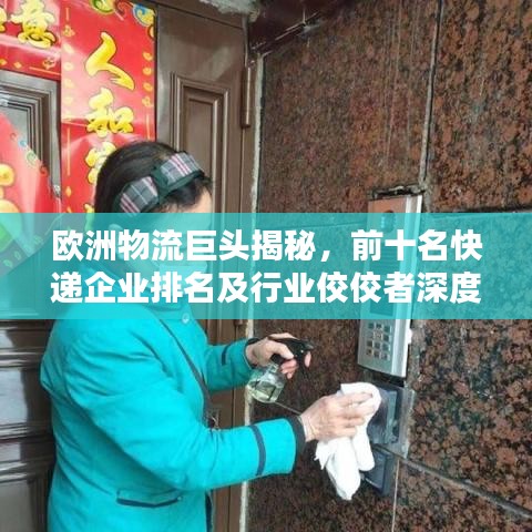 欧洲物流巨头揭秘，前十名快递企业排名及行业佼佼者深度解析