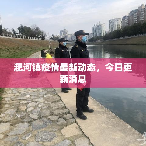 淝河镇疫情最新动态，今日更新消息