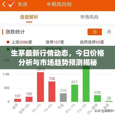 2025年6月11日 第18页