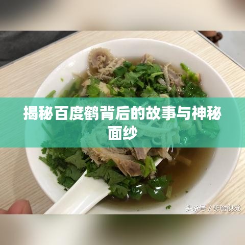 揭秘百度鹤背后的故事与神秘面纱