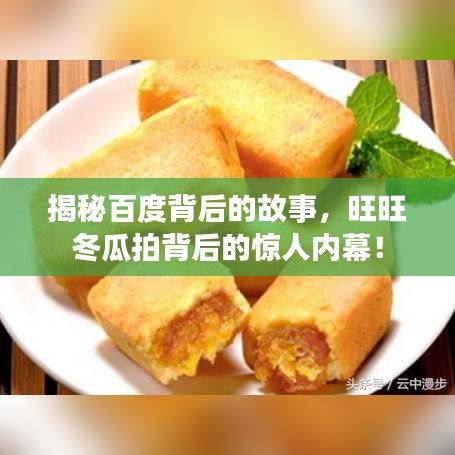 揭秘百度背后的故事，旺旺冬瓜拍背后的惊人内幕！