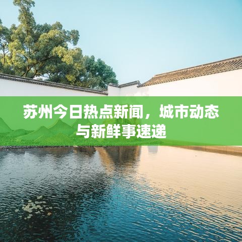 苏州今日热点新闻，城市动态与新鲜事速递