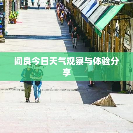 阎良今日天气观察与体验分享
