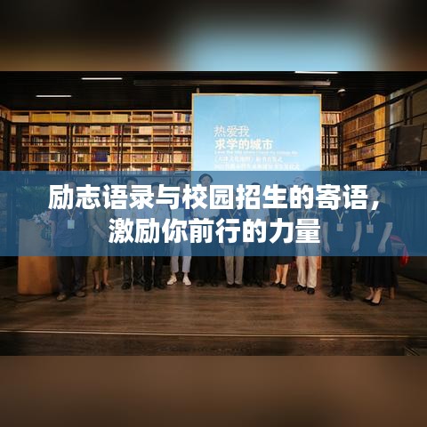 2025年6月11日 第14页