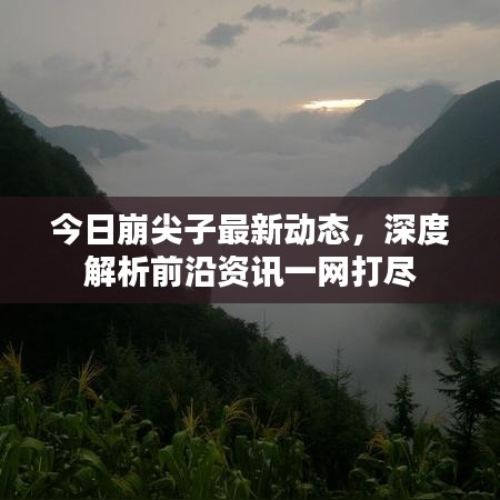 今日崩尖子最新动态，深度解析前沿资讯一网打尽