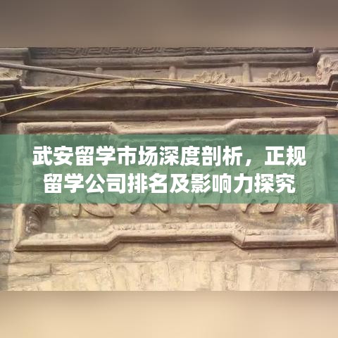 武安留学市场深度剖析，正规留学公司排名及影响力探究