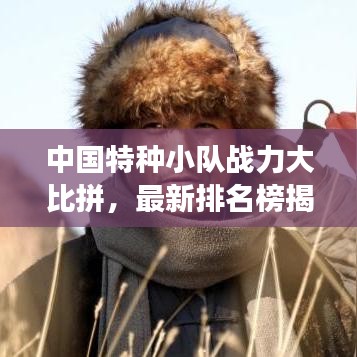 中国特种小队战力大比拼，最新排名榜揭示英勇无畏战力巅峰