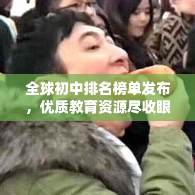 全球初中排名榜单发布，优质教育资源尽收眼底