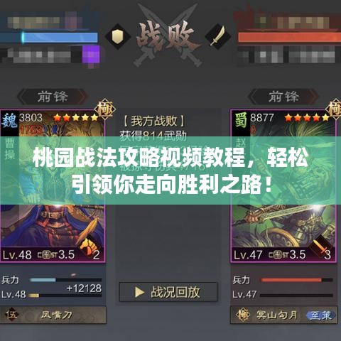 桃园战法攻略视频教程，轻松引领你走向胜利之路！