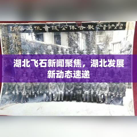 2025年6月11日 第2页