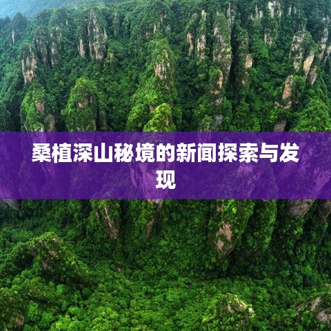 桑植深山秘境的新闻探索与发现