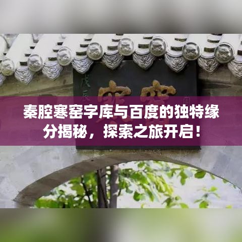 2025年6月12日 第46页