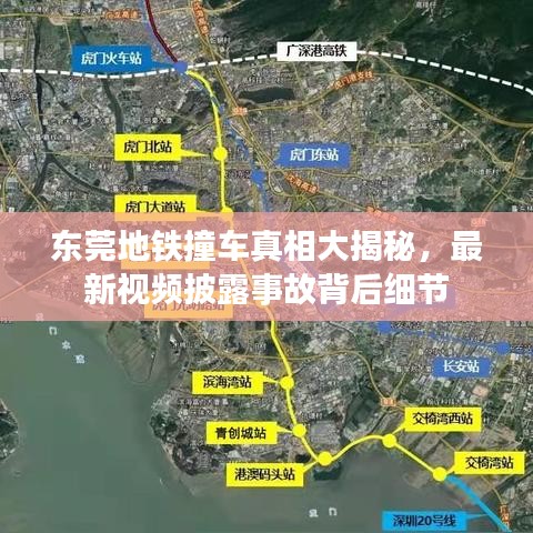 2025年6月12日 第44页