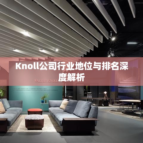 Knoll公司行业地位与排名深度解析