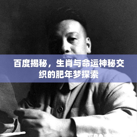 百度揭秘，生肖与命运神秘交织的肥年梦探索