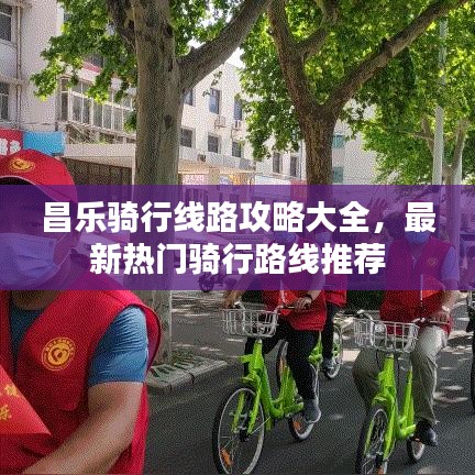 2025年6月12日 第33页