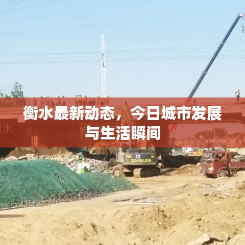 2025年6月12日 第31页
