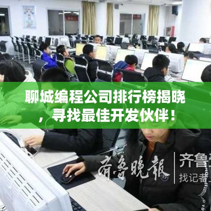聊城编程公司排行榜揭晓，寻找最佳开发伙伴！