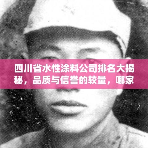 四川省水性涂料公司排名大揭秘，品质与信誉的较量，哪家公司更胜一筹？