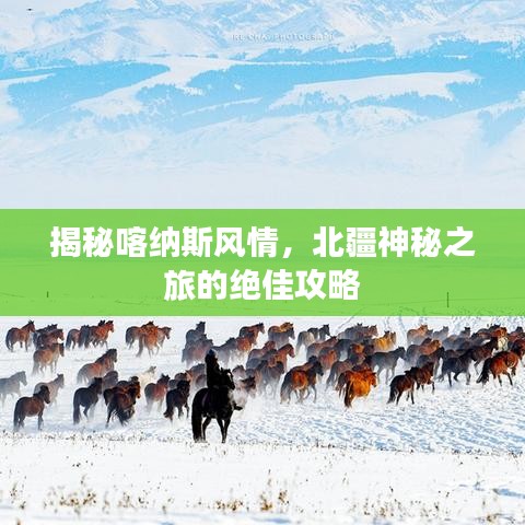 揭秘喀纳斯风情，北疆神秘之旅的绝佳攻略