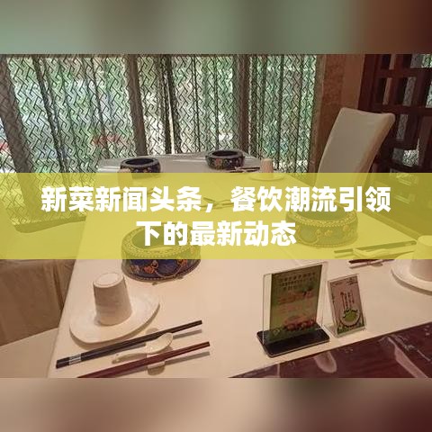 新菜新闻头条，餐饮潮流引领下的最新动态
