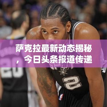 萨克拉最新动态揭秘，今日头条报道传递重磅消息