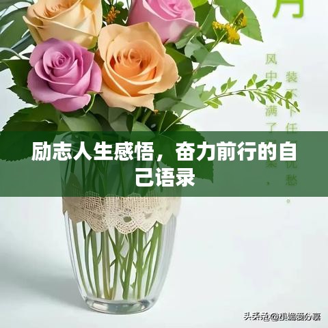励志人生感悟，奋力前行的自己语录