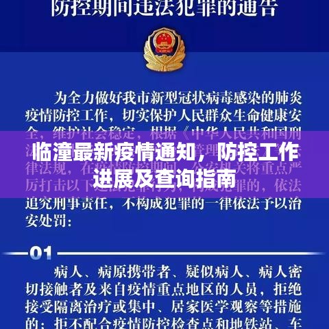 临潼最新疫情通知，防控工作进展及查询指南