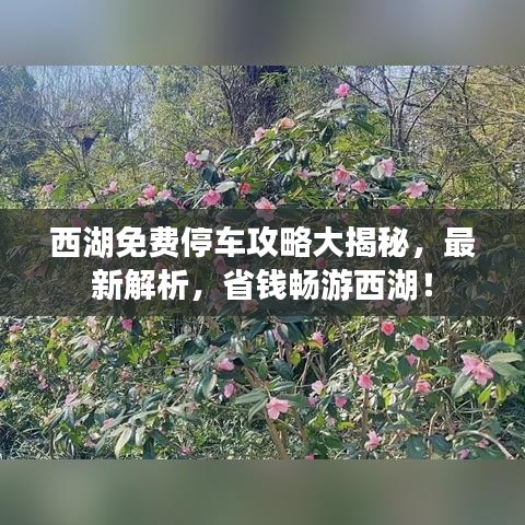 西湖免费停车攻略大揭秘，最新解析，省钱畅游西湖！