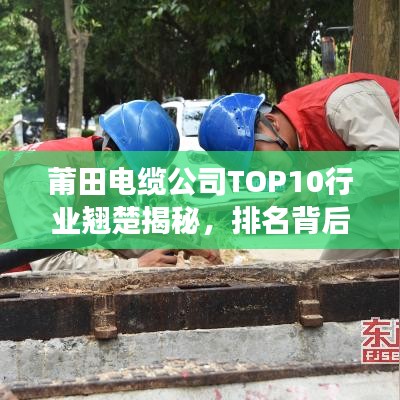 莆田电缆公司TOP10行业翘楚揭秘，排名背后的成功秘诀