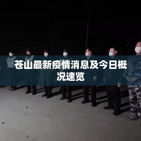 苍山最新疫情消息及今日概况速览