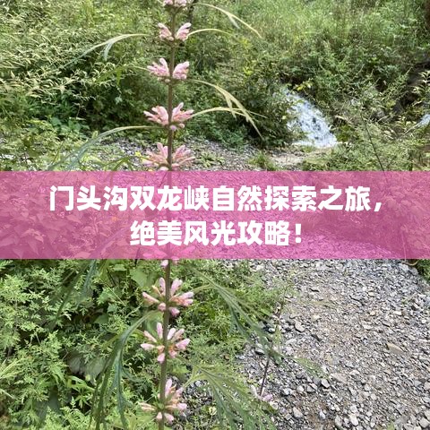 门头沟双龙峡自然探索之旅，绝美风光攻略！