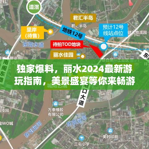 独家爆料，丽水2024最新游玩指南，美景盛宴等你来畅游！
