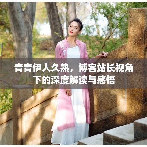 青青伊人久熟，博客站长视角下的深度解读与感悟