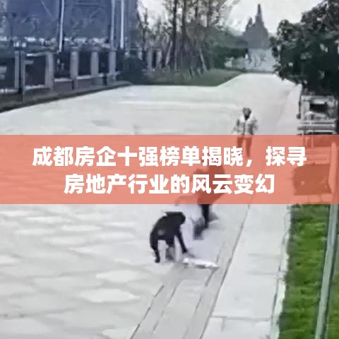成都房企十强榜单揭晓，探寻房地产行业的风云变幻