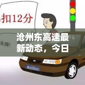 沧州东高速最新动态，今日头条新闻报道聚焦此地