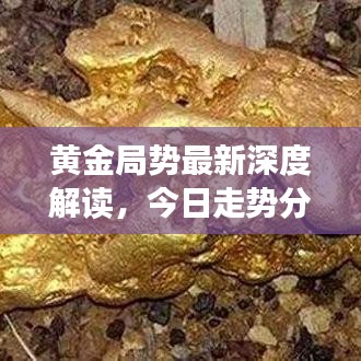 黄金局势最新深度解读，今日走势分析与预测