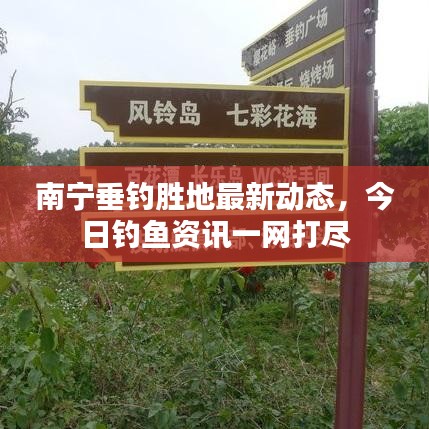 南宁垂钓胜地最新动态，今日钓鱼资讯一网打尽