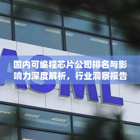 国内可编程芯片公司排名与影响力深度解析，行业洞察报告！