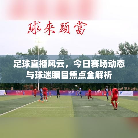 足球直播风云，今日赛场动态与球迷瞩目焦点全解析