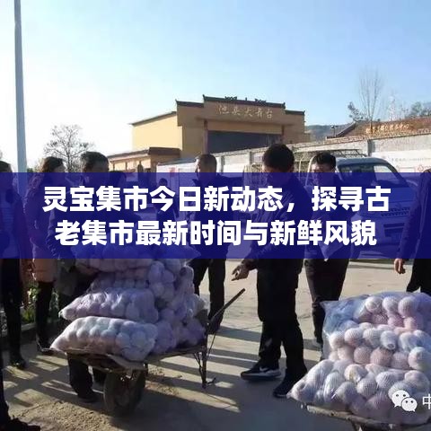 灵宝集市今日新动态，探寻古老集市最新时间与新鲜风貌