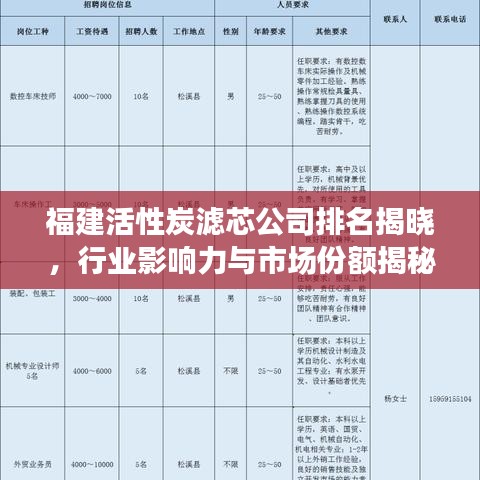 福建活性炭滤芯公司排名揭晓，行业影响力与市场份额揭秘