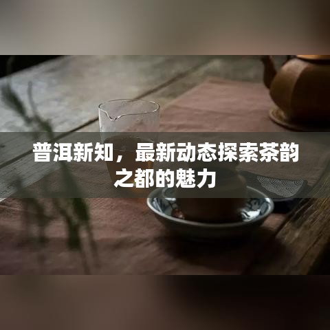 普洱新知，最新动态探索茶韵之都的魅力