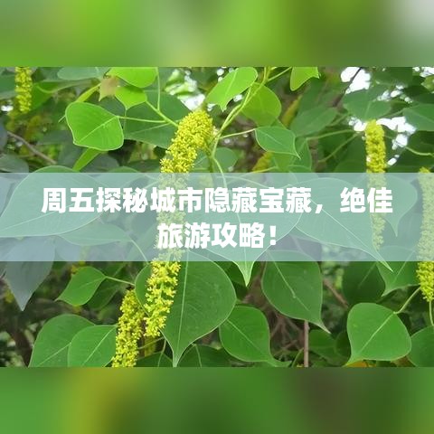 周五探秘城市隐藏宝藏，绝佳旅游攻略！