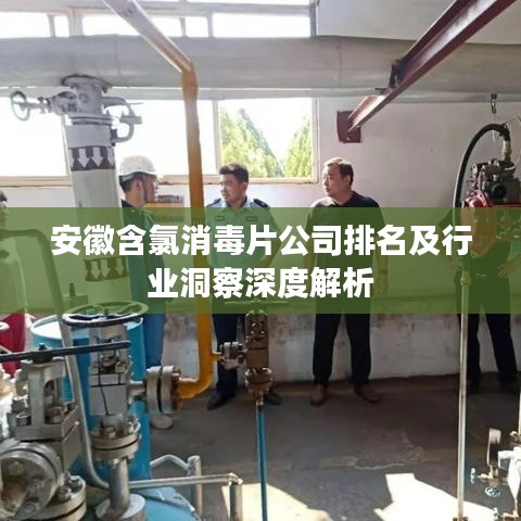 安徽含氯消毒片公司排名及行业洞察深度解析