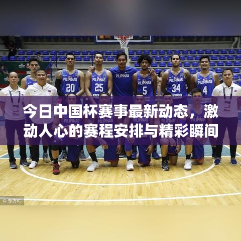 今日中国杯赛事最新动态，激动人心的赛程安排与精彩瞬间回顾