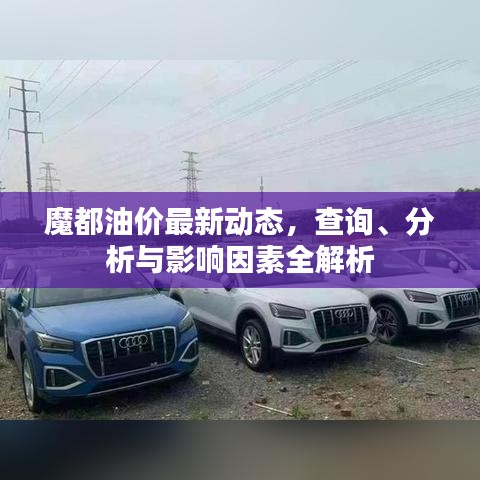 魔都油价最新动态，查询、分析与影响因素全解析