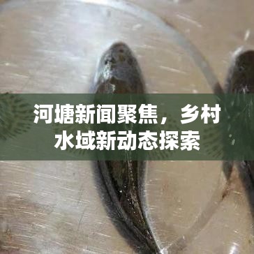河塘新闻聚焦，乡村水域新动态探索