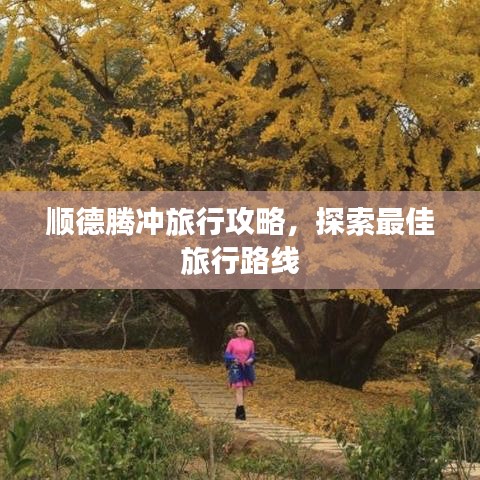 顺德腾冲旅行攻略，探索最佳旅行路线