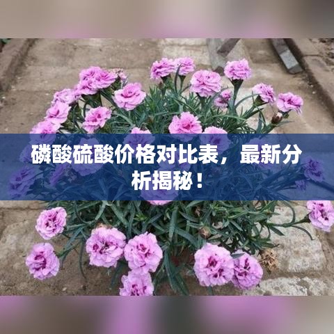 磷酸硫酸价格对比表，最新分析揭秘！